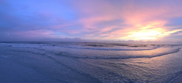 Playa en los alrededores