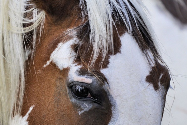 Welcome to our farm!