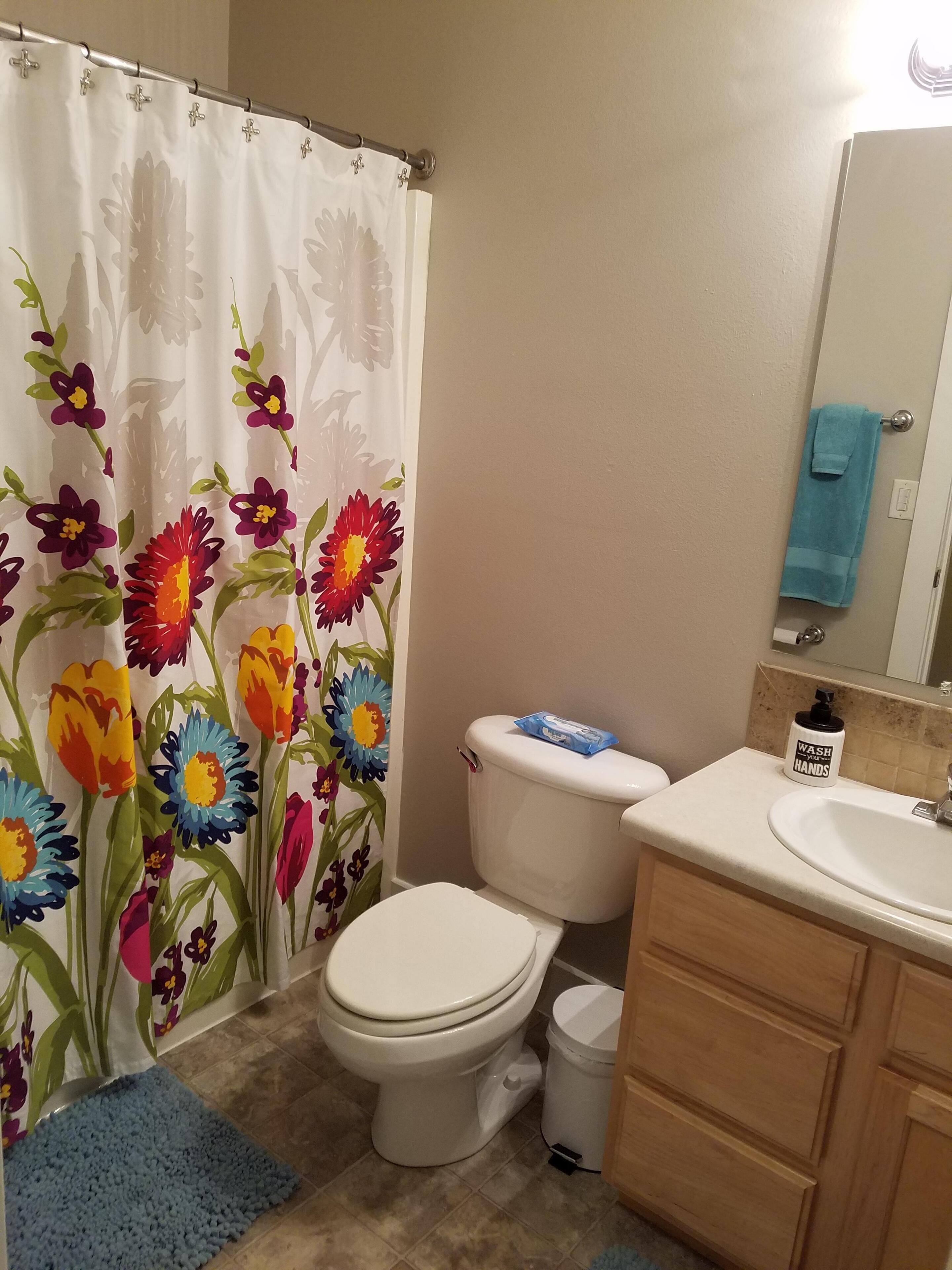 A bathroom with a toilet, sink, and shower curtain with floral patterns.