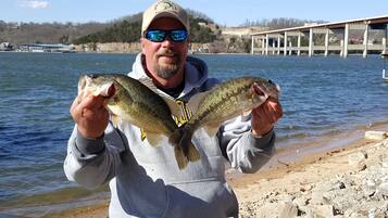 Una persona sostiene dos peces junto a una costa rocosa con un puente al fondo.