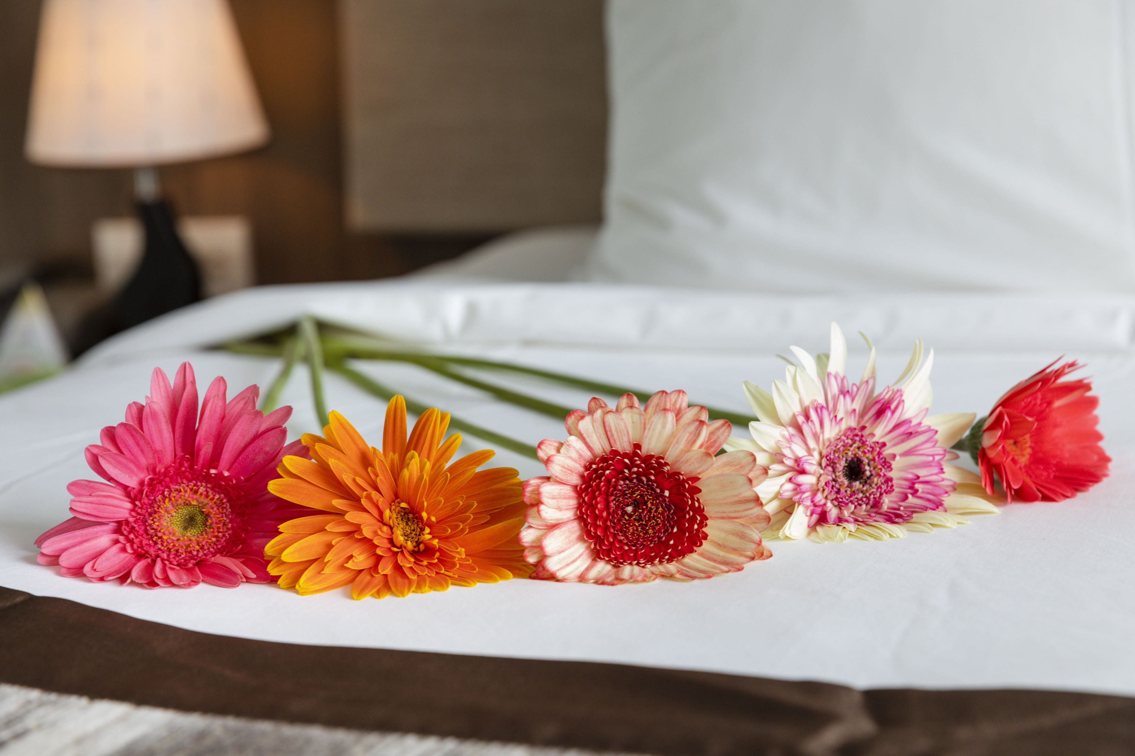 Una cama con sábanas blancas y una variedad de flores de colores dispuestas sobre ella.