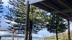 A beachside park with a swing set, a large tree, and a playground. - Castlereagh 7 Middleton Beach Albany (Middleton Beach)
