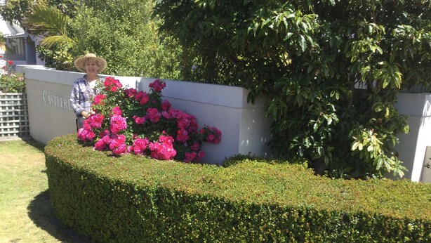 A well-maintained hedge with vibrant pink flowers in front of a building with a sign that reads "The Castle Inn". - Castlereagh 7 Middleton Beach Albany (Middleton Beach)