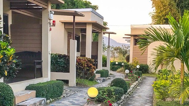 Un chemin mène à un bâtiment doté d’une entrée abritée, entouré de haies bien entretenues et d’un petit jardin agrémenté d’un éclairage décoratif.