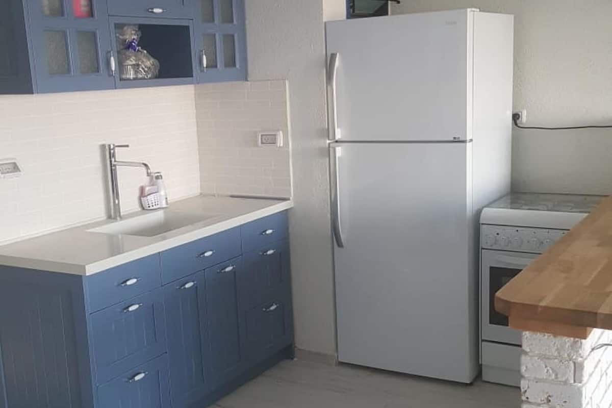 Deluxe appartement, tuin | Privékeuken | Een koelkast, een magnetron, een kookplaat