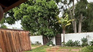 A backyard with a stone pathway, a wooden fence, and various plants.