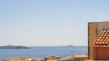 A table with a bottle of wine, two glasses, a bowl of olives, and a plate of food, overlooking a coastal town with buildings and the sea.