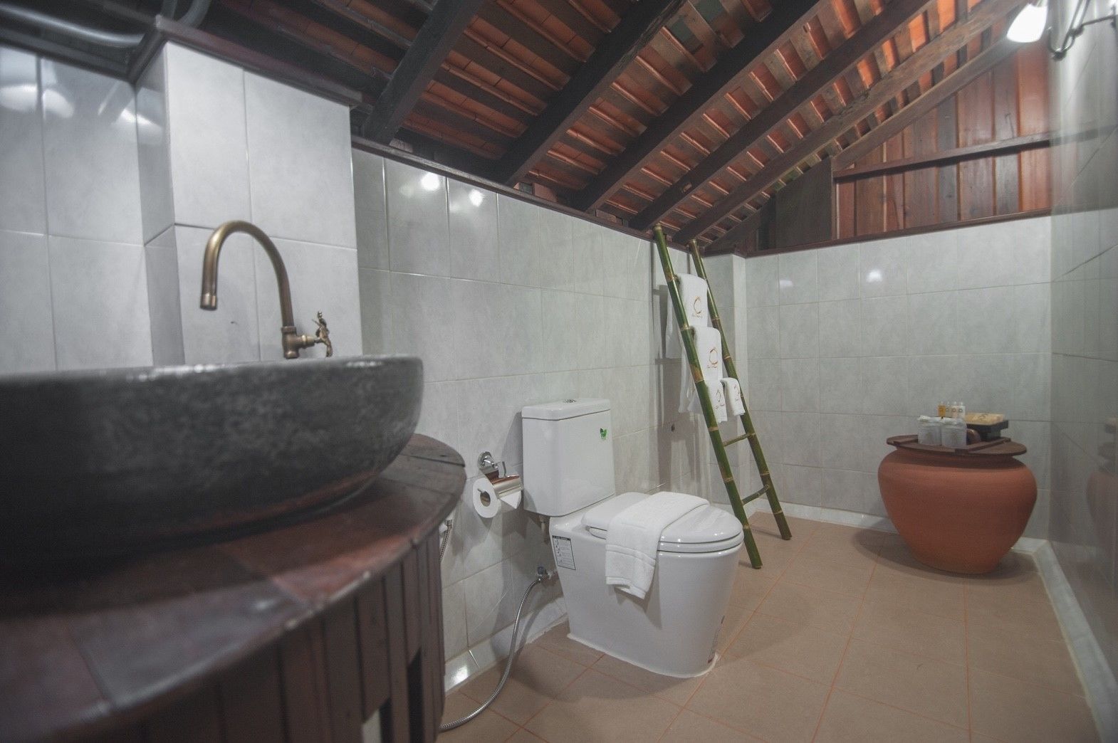 A bathroom with a large vessel sink, toilet, and a ladder leaning against the wall.
