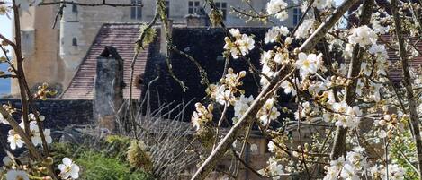 A historic building with a prominent tower and crenellated walls, surrounded by blooming trees.
