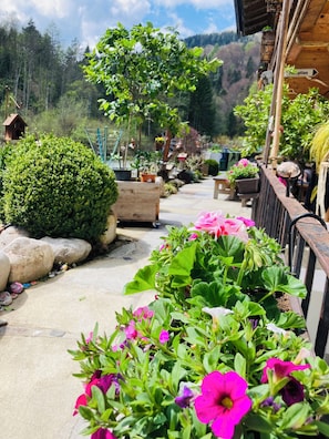 Jardines del alojamiento