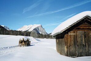 Unclassified image, 4 of 24, button