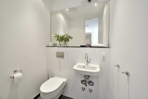 Shower, hair dryer, soap, toilet paper