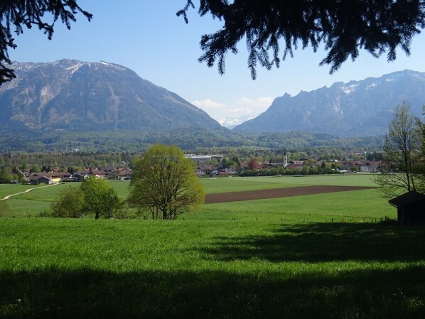 A rural landscape with mountains, a church, and a village. - Apartment small (C) 42 sqm, 1 bedroom, kitchen-living room, balcony (Piding)