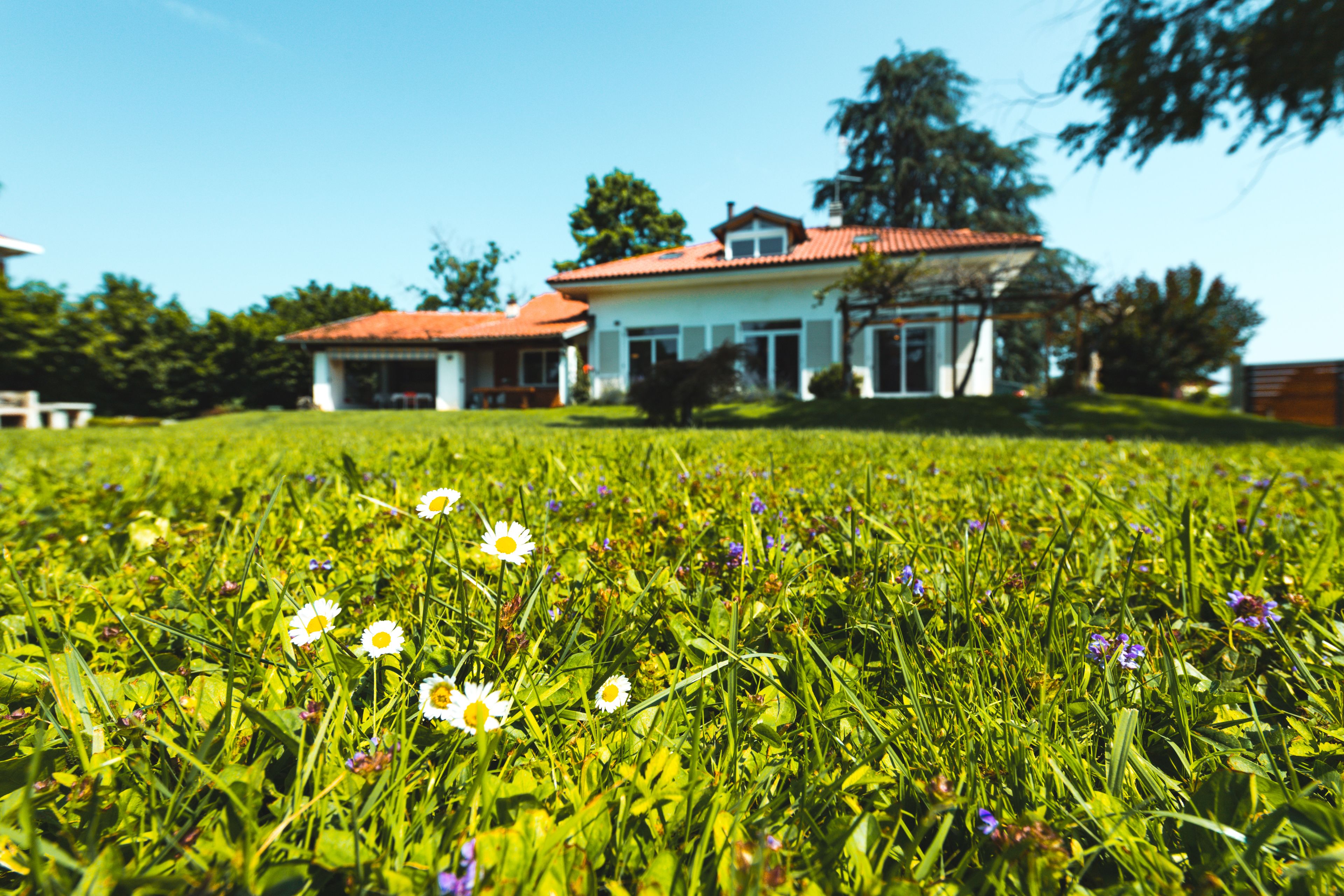 ガーデン ビュー