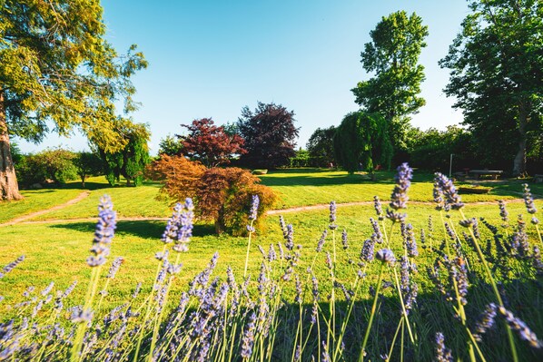 A park with lavender fields, trees, and a clear sky. - B&B Casa Danoi (Trinita)