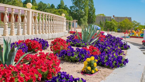 Un jardín con una cerca decorativa y una variedad de flores coloridas.