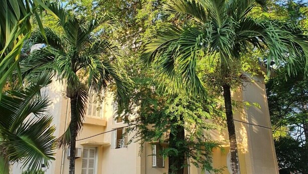 Een gebouw met een gele gevel, omgeven door weelderig groen, waaronder palmbomen en andere tropische planten.