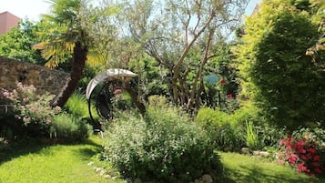 Tuin