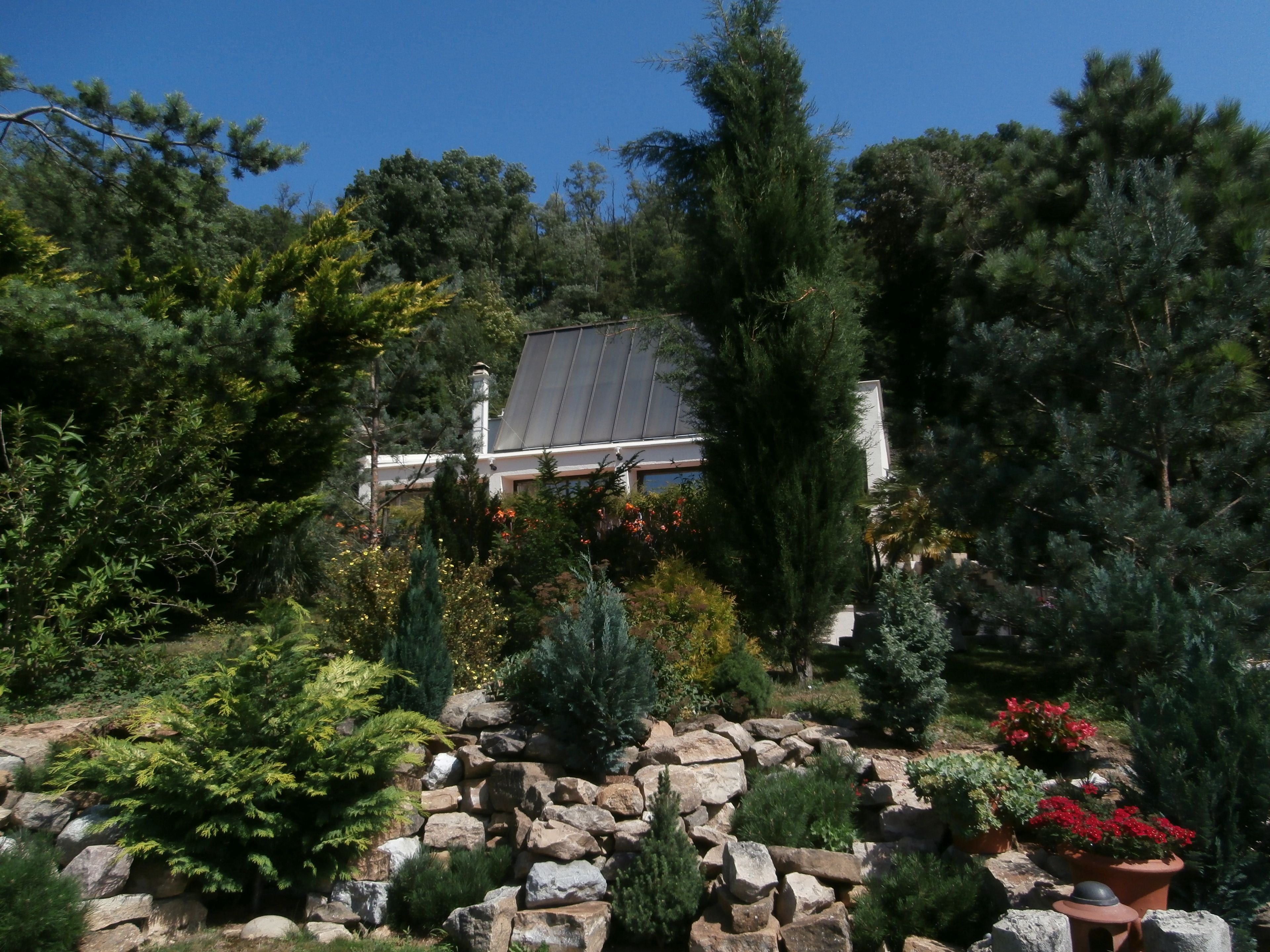 Une maison entourée d’un jardin où poussent différentes plantes et arbres.