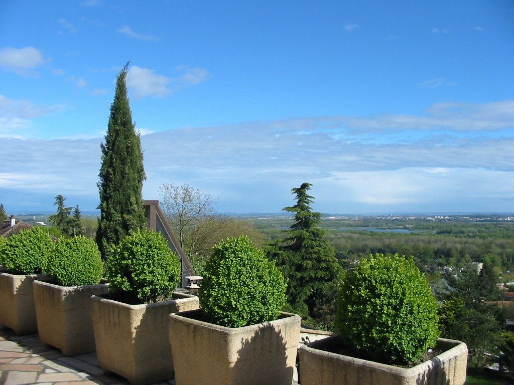 A terrace with potted plants and a view of a distant landscape.