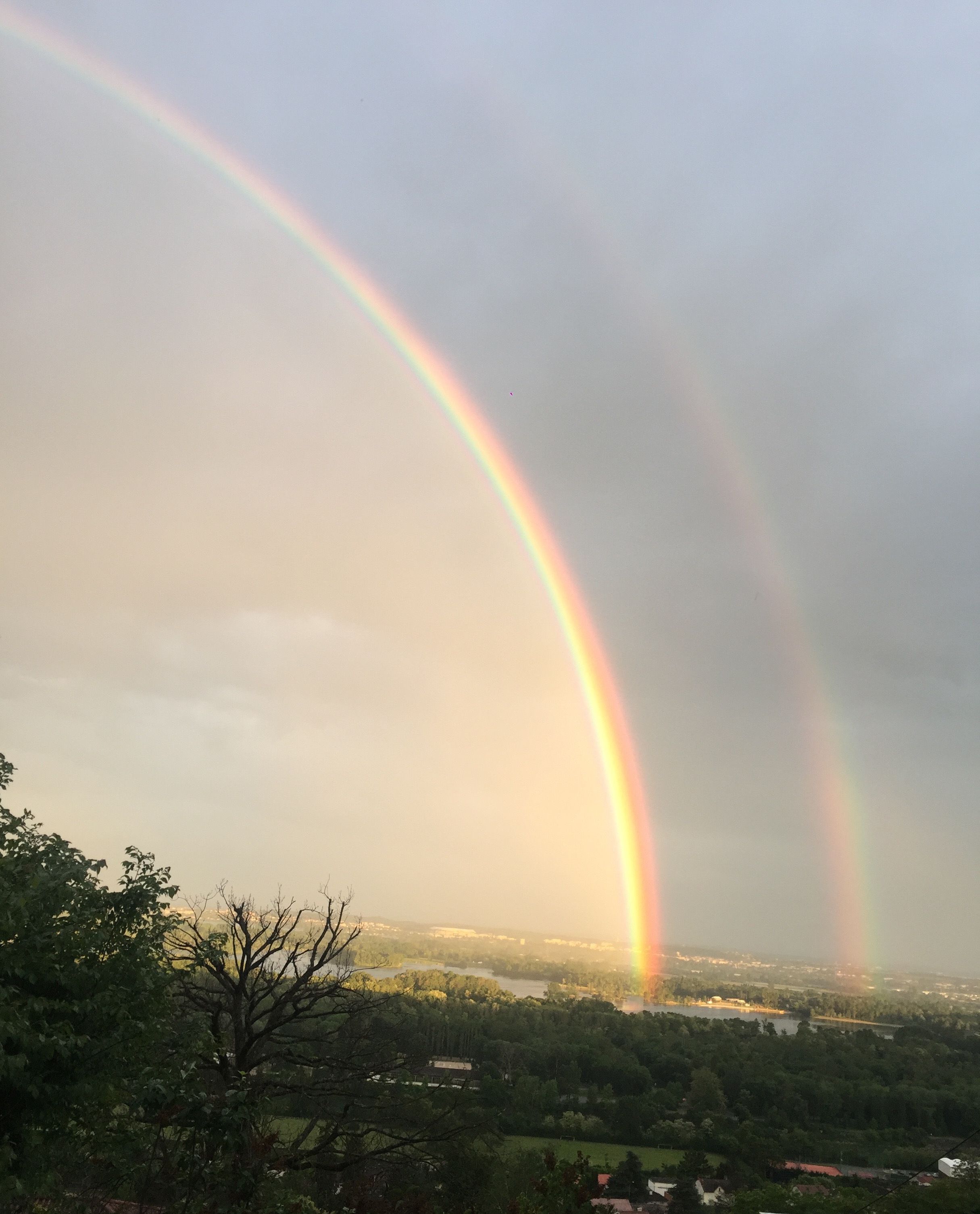 Foto - La Villa du Rhône