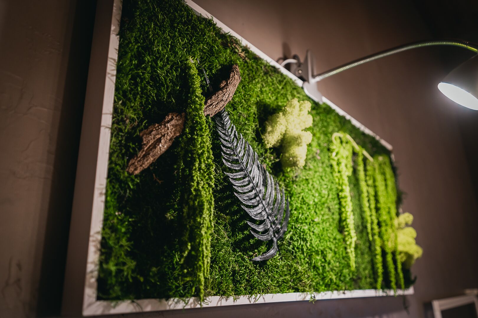 Foto - La Villa du Rhône