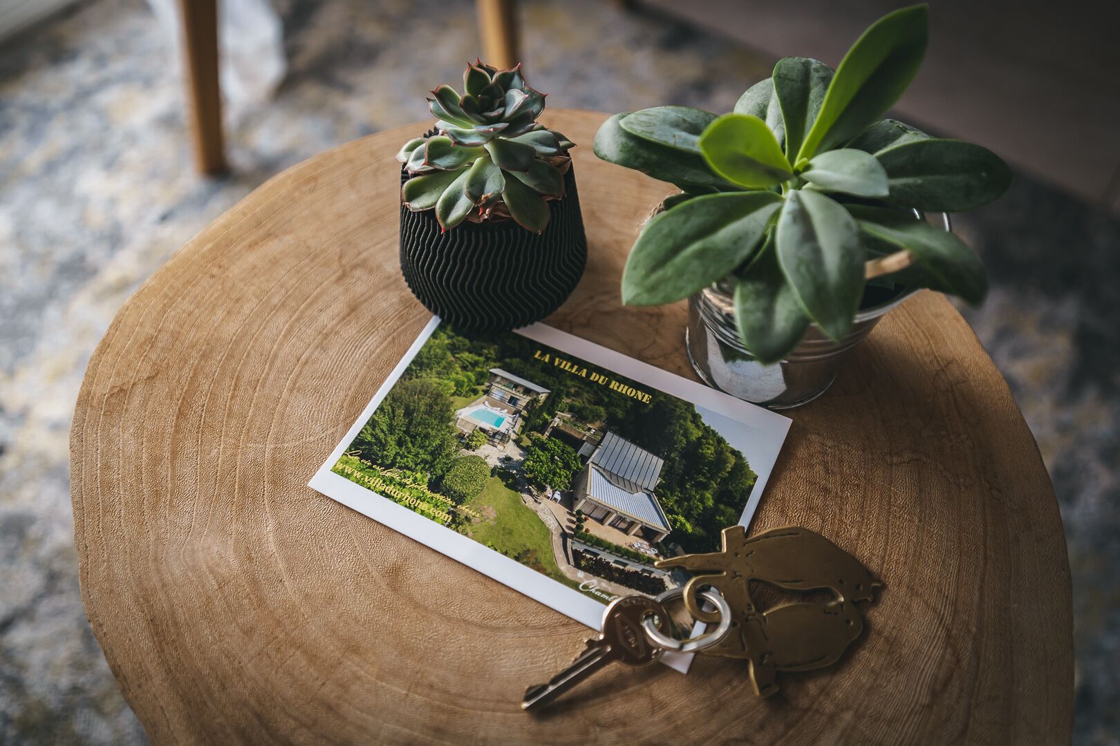 Foto - La Villa du Rhône