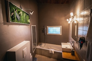 Hair dryer, towels, soap, shampoo