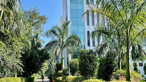 Um caminho bordeado por sebes bem aparadas e palmeiras, conduzindo a um edifício moderno com janelas de vidro refletivo.