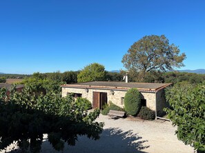 Daily full breakfast (EUR 15 per person)