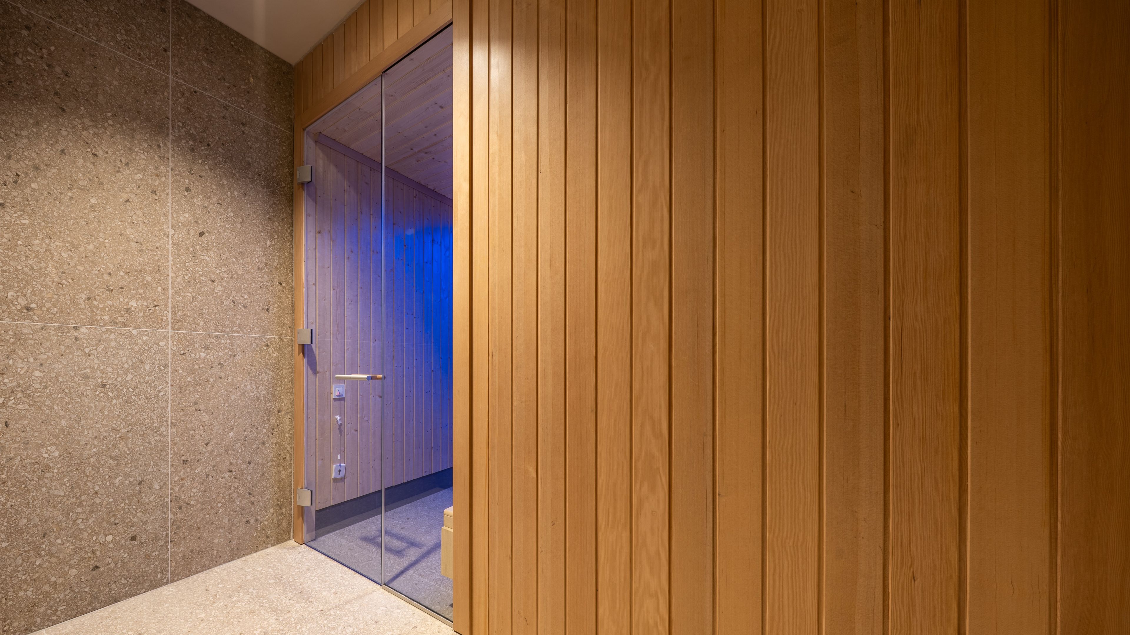 Un pasillo con una puerta de madera y un panel de vidrio.