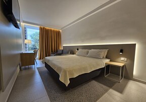 Minibar, desk, blackout drapes, WiFi (free)