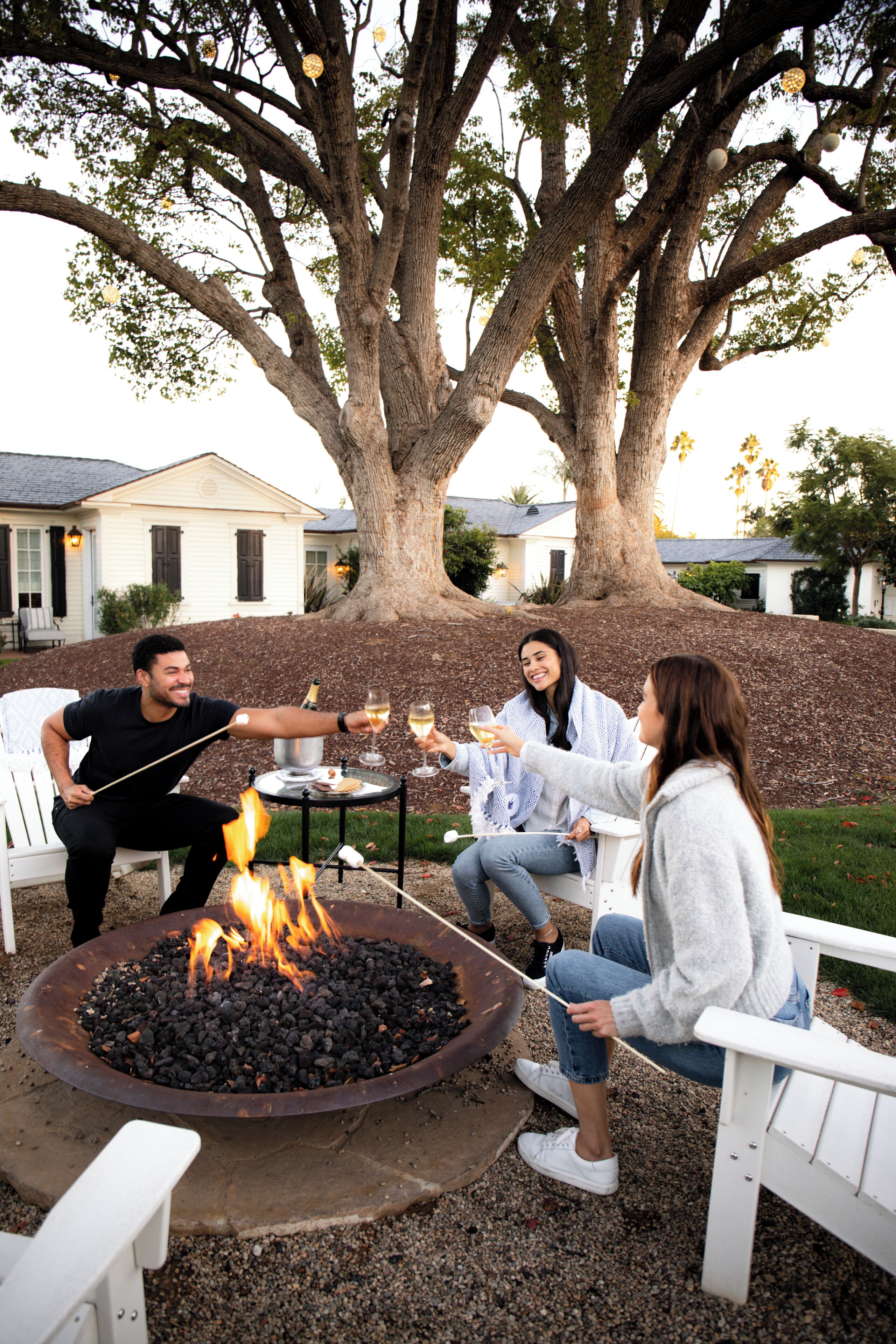 A group of people sitting around a fire pit outdoors with a large tree in the background.
