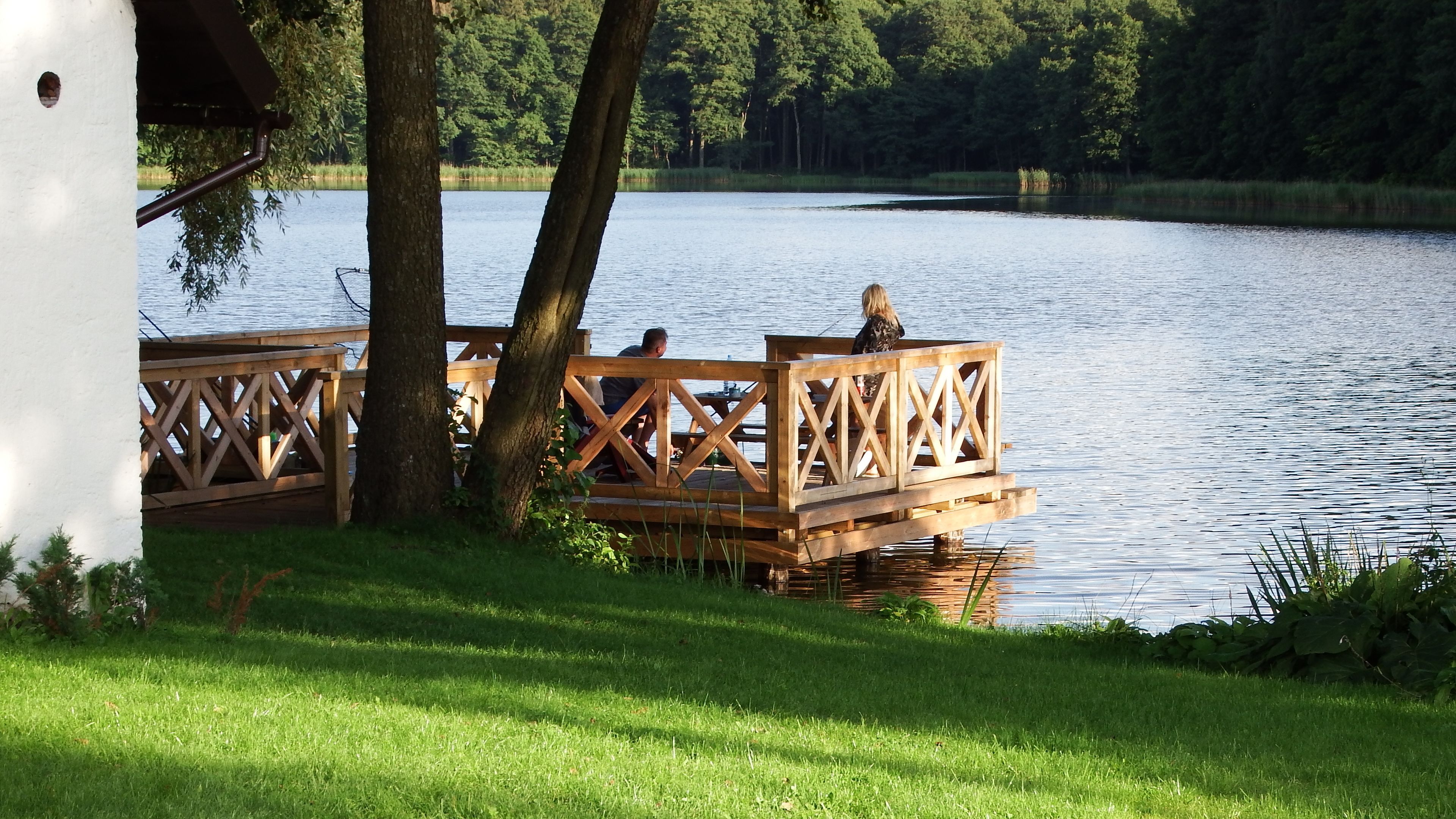 Un muelle de madera se extiende sobre un lago tranquilo, rodeado de abundante vegetación y árboles.