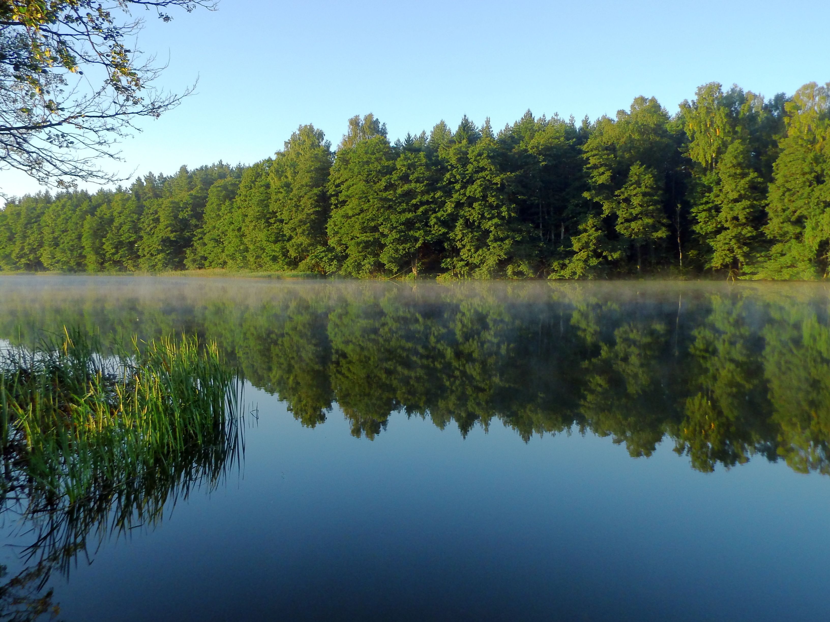 A calm lake with dense forest reflection, clear sky, and calm water.