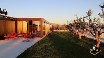 Bar de playa