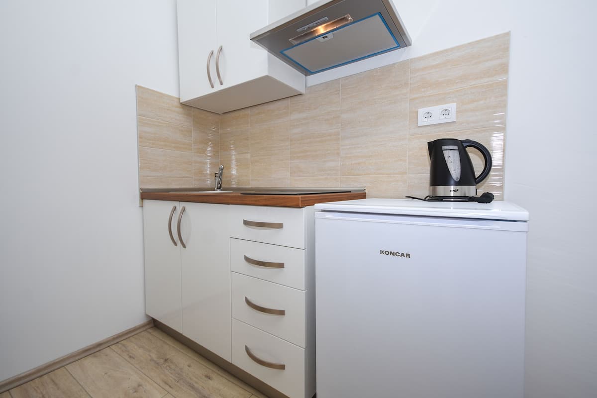 city apartment, 1 bedroom | private kitchen | fridge, coffee/tea maker, electric kettle, toaster