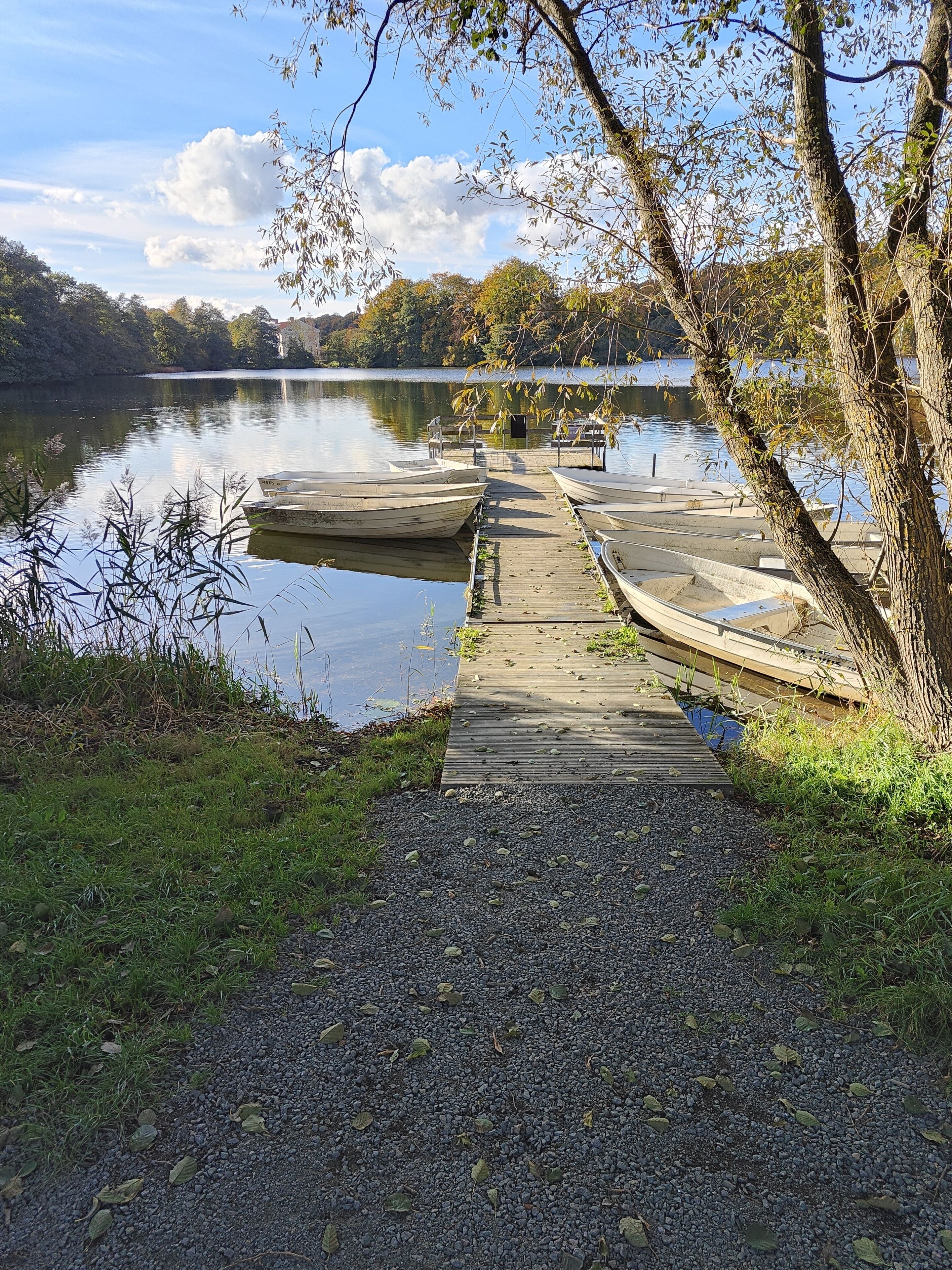 A wooden dock leading to a calm lake with boats docked, surrounded by trees and grassy areas.
