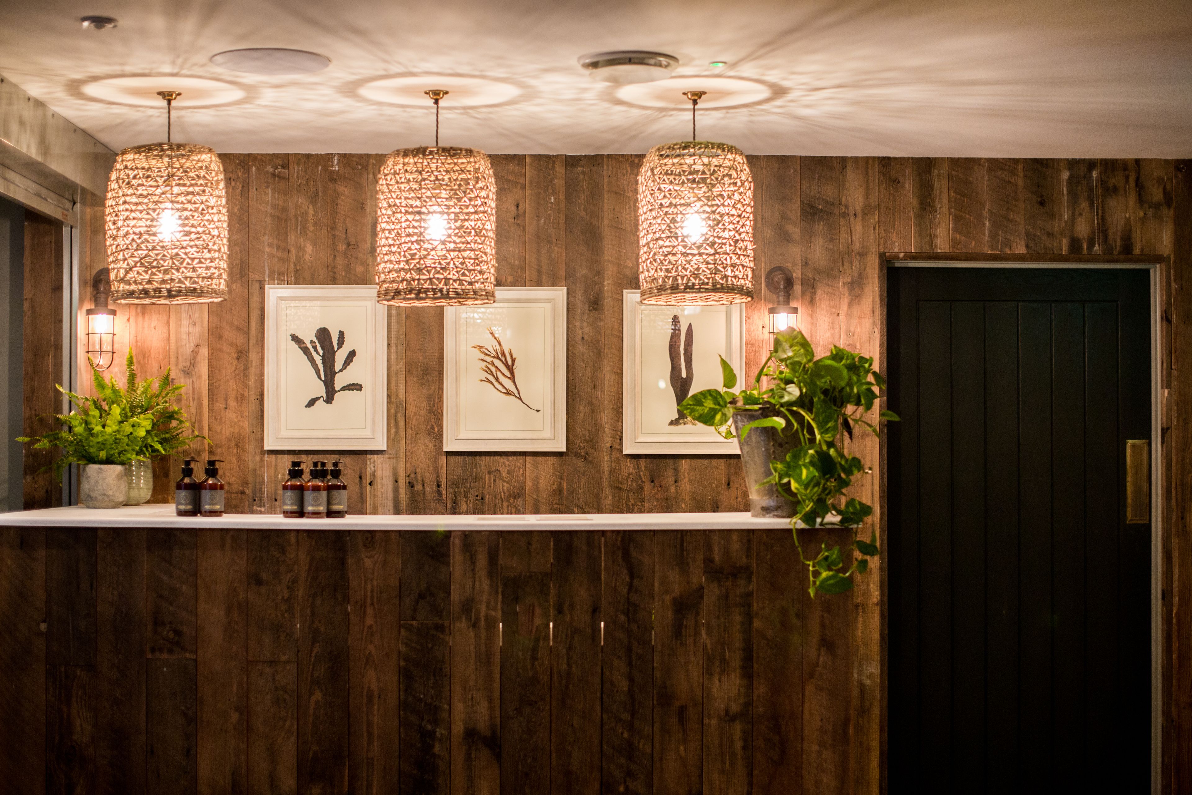 A reception area with wooden paneling, three hanging pendant lights, framed botanical prints, and a potted plant.