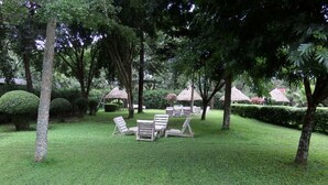 A well-maintained garden with neatly trimmed hedges, a series of thatched-roof structures, and several lounge chairs arranged for relaxation.
