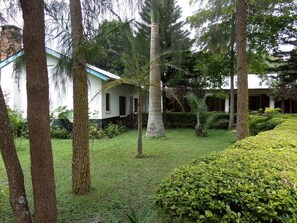 Jardines del alojamiento