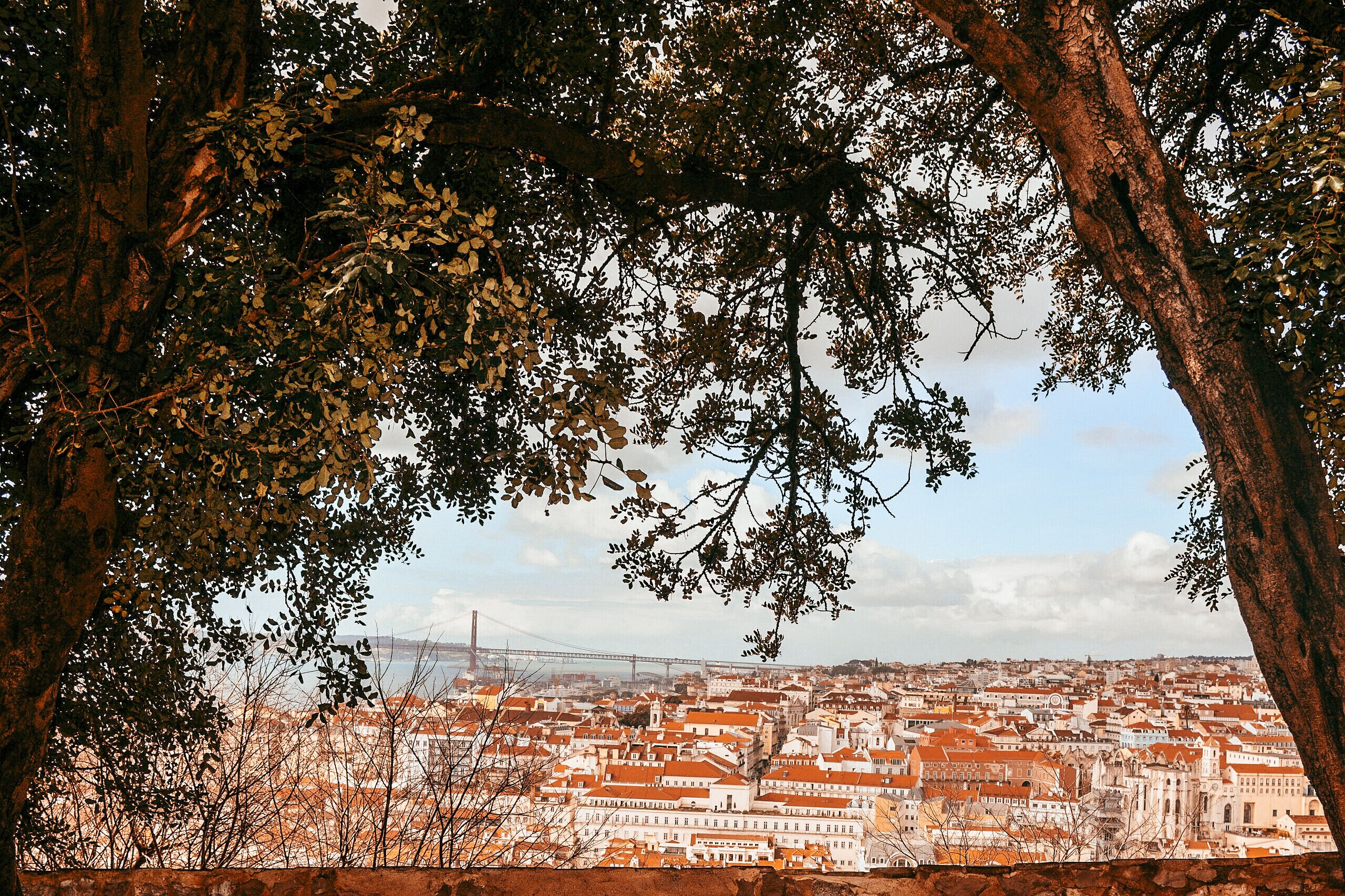 Vue depuis l’hébergement