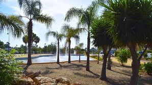 Un espace aménagé avec des palmiers, une fontaine et une piscine.