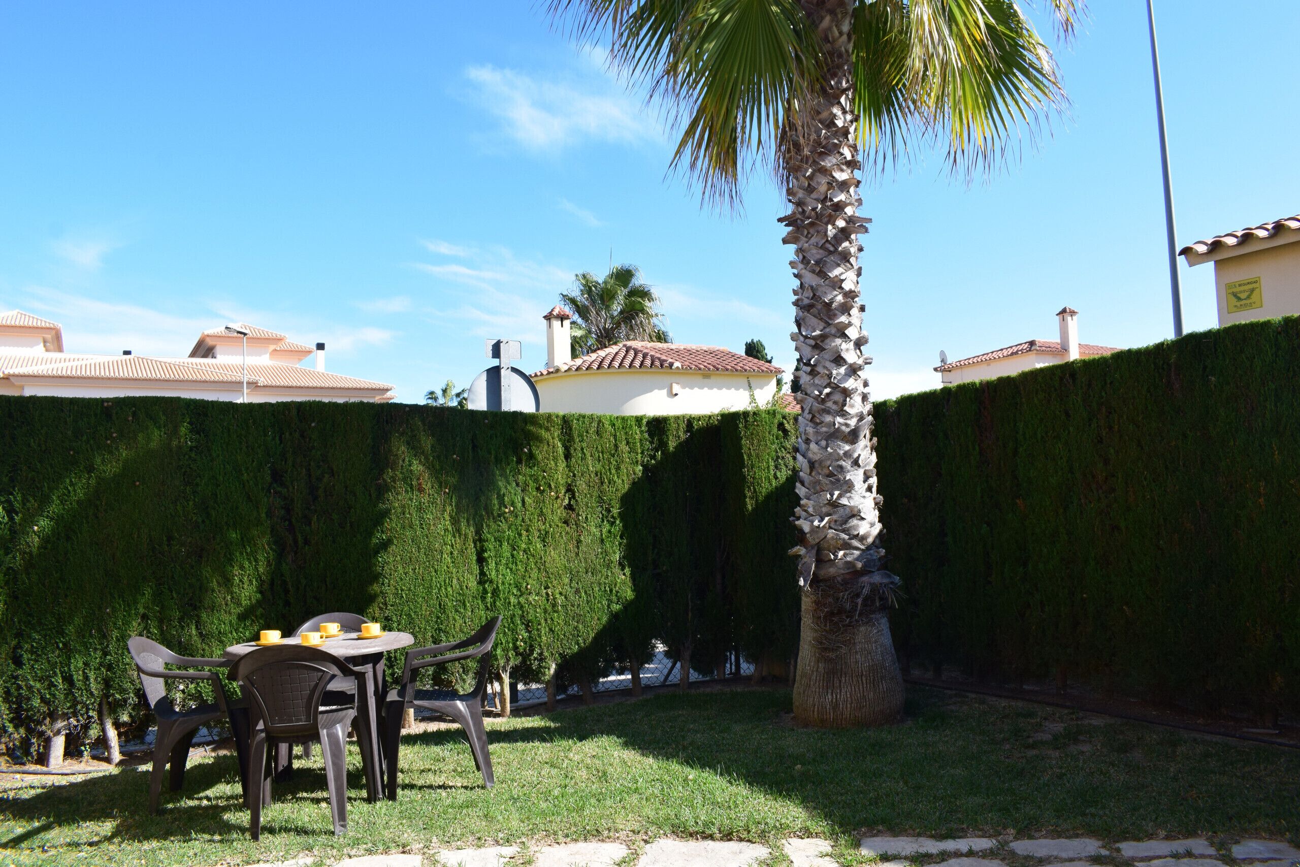 A patio with a table and chairs, a palm tree, and a neatly trimmed hedge.