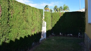 Ein gepflegter Garten mit weißem Zaun, blauem Himmel und Palmen im Hintergrund.