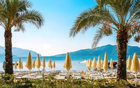 A beachside resort with rows of sun loungers and umbrellas, palm trees, and a view of the sea and mountains in the background.