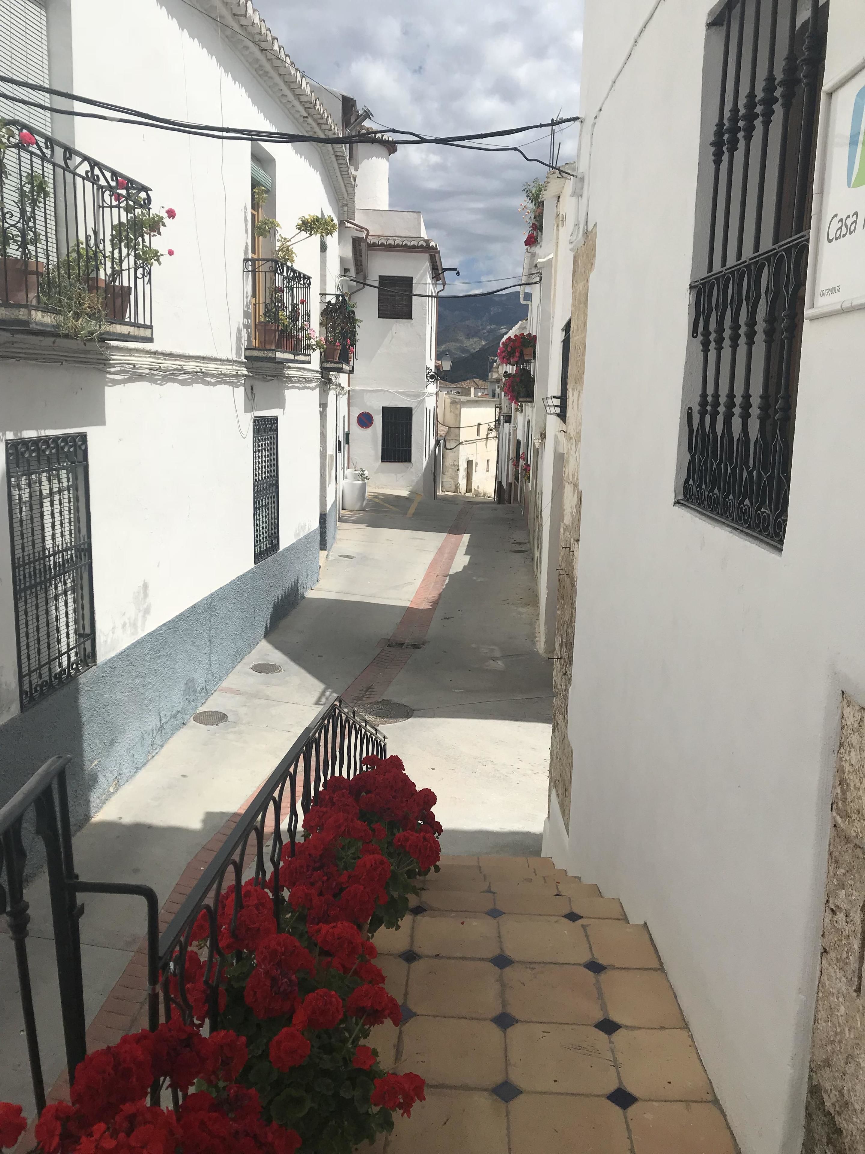 A narrow street with white buildings, a tiled pavement, and red flowers along the path.