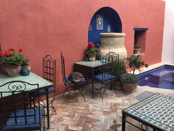 Un patio con piscina de azulejos, mobiliario exterior y plantas en macetas.