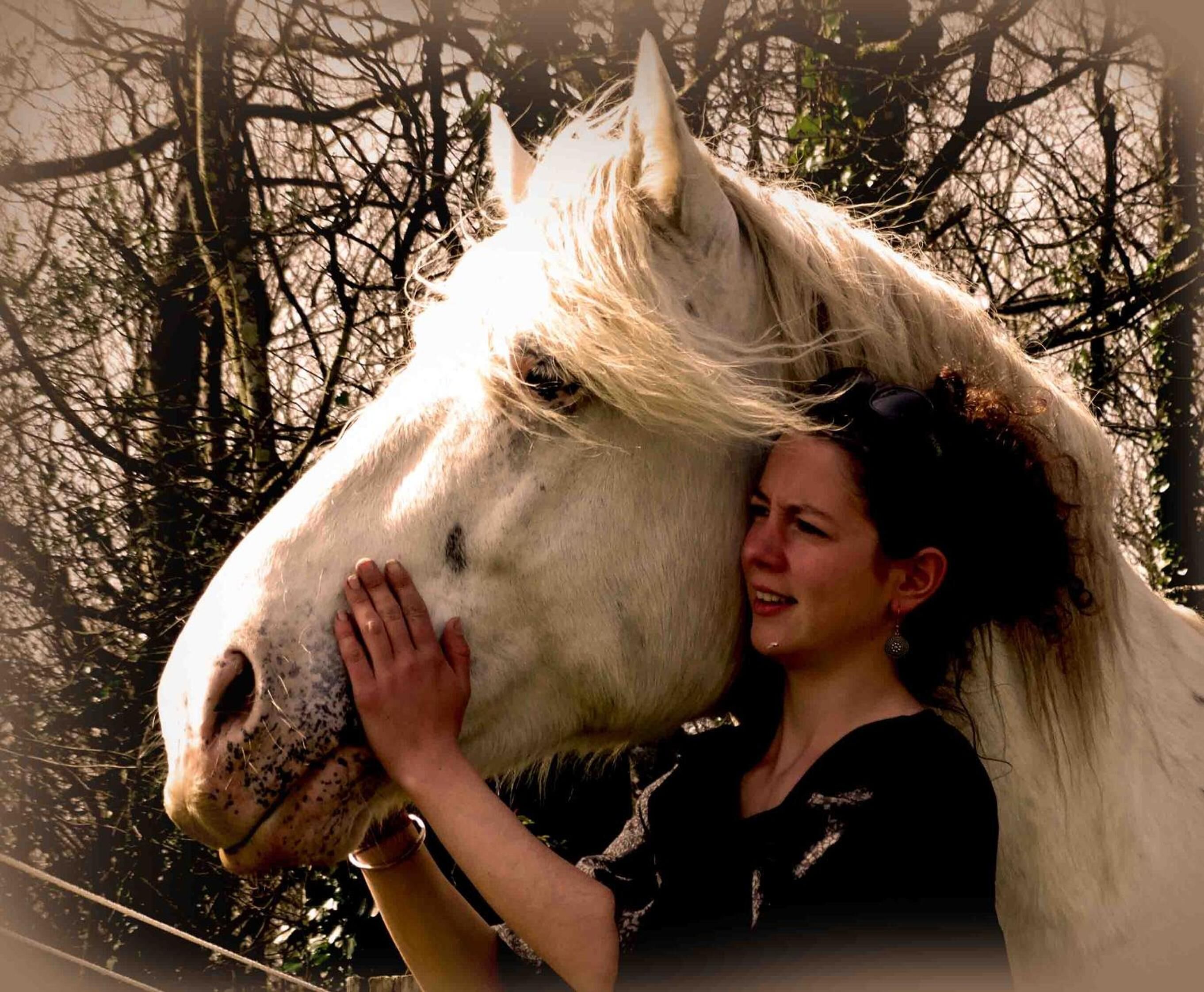 Une personne caresse un cheval blanc, avec des arbres en arrière-plan.