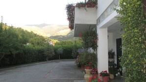 A courtyard with potted plants and flowers, a building entrance, and a view of hills in the background.